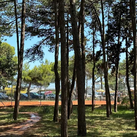 Appartamento Lignano Pineta With Pool *
