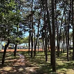Lignano Pineta With Pool * Lignano Sabbiadoro